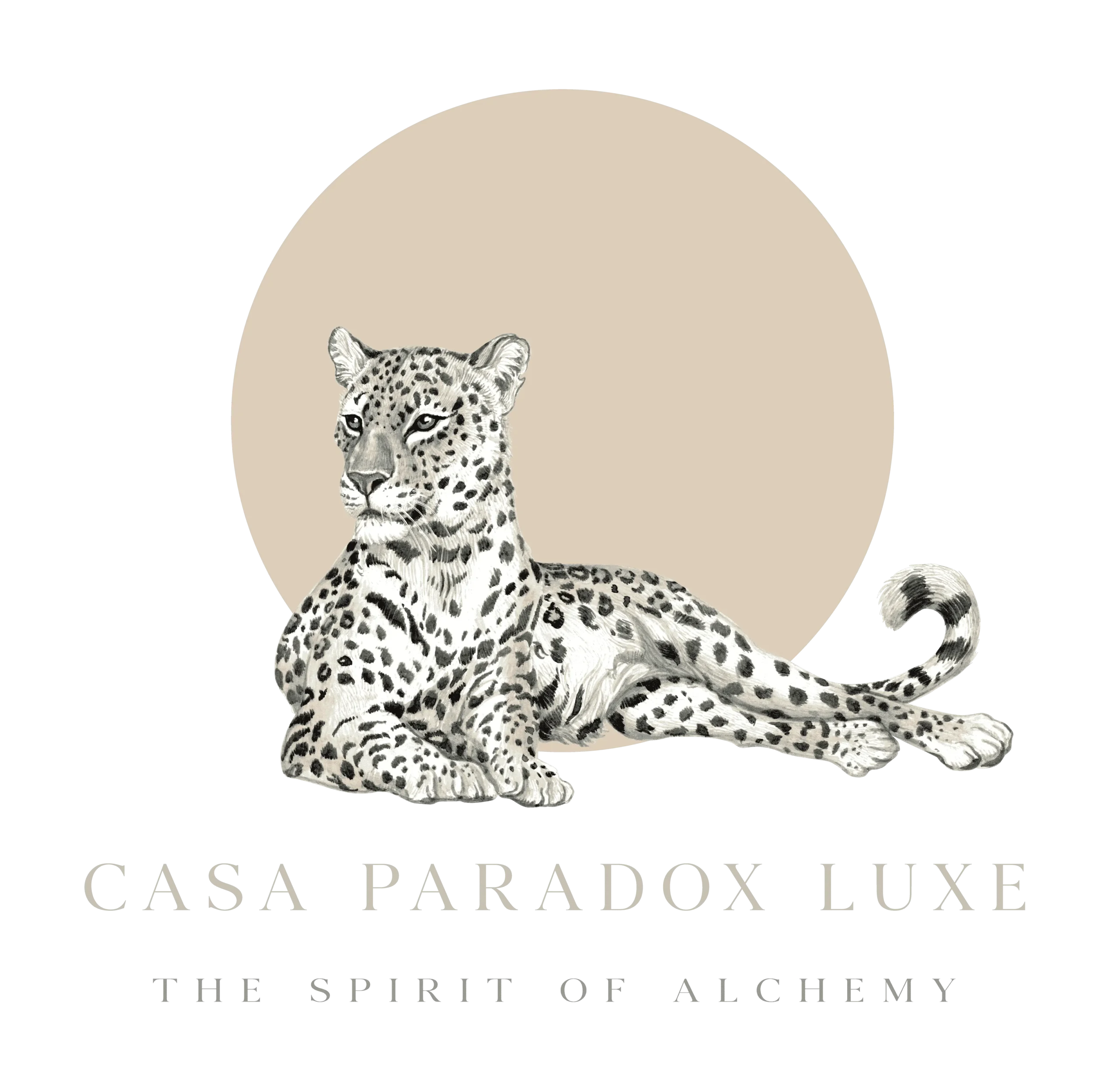 Casaparadox
