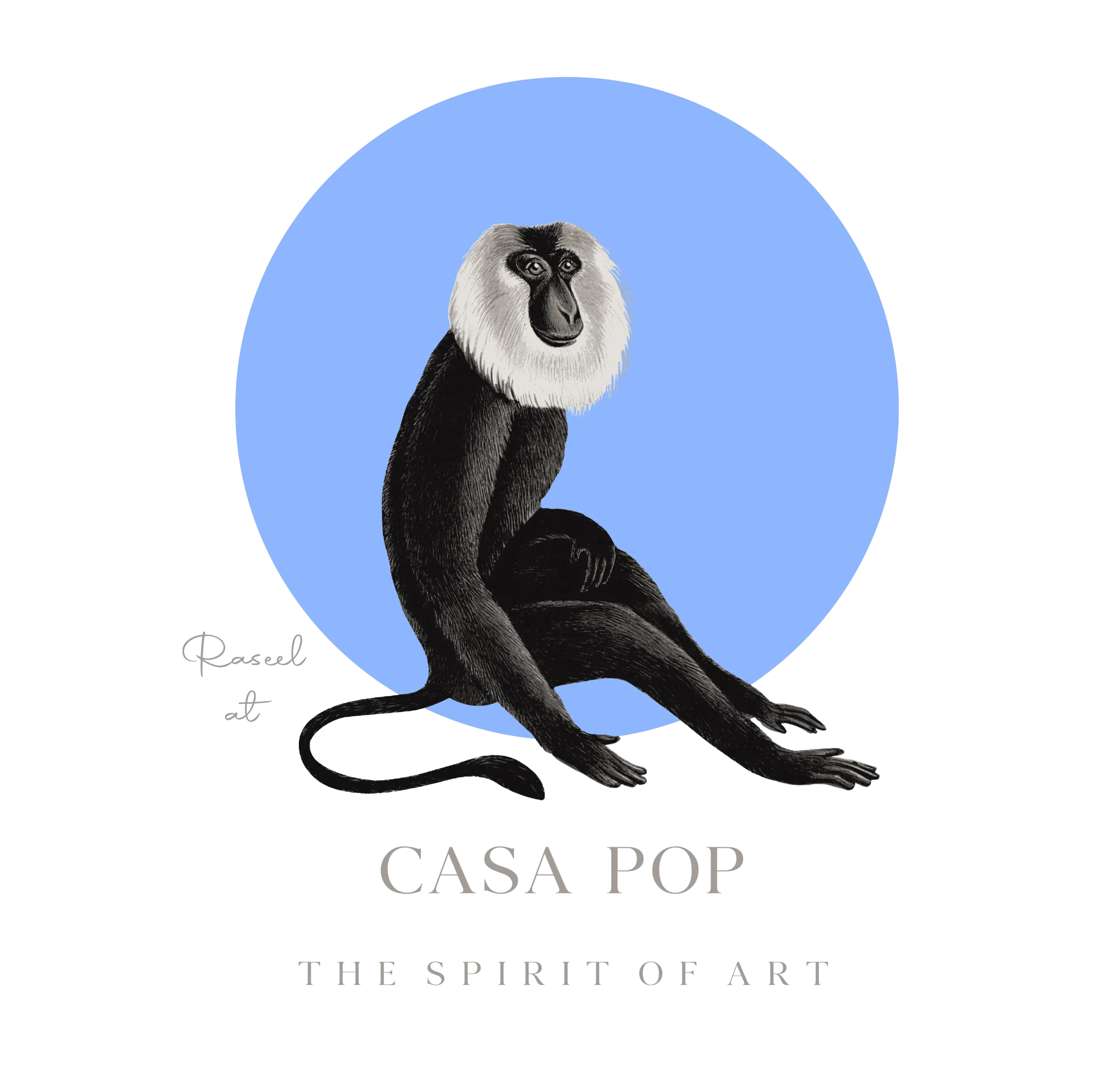 Casapop
